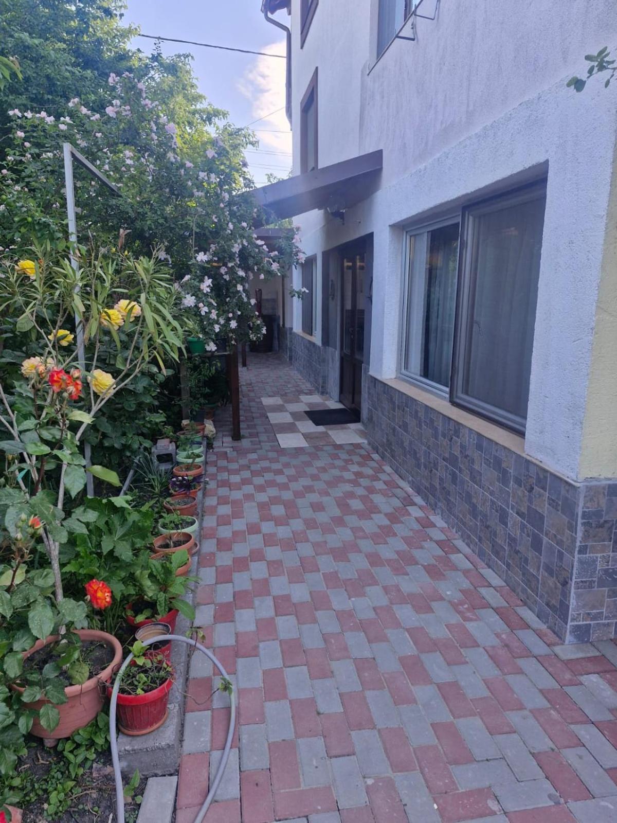 Casa Donau Delta Hotel Sulina Bagian luar foto